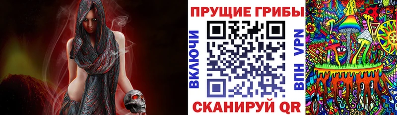Галлюциногенные грибы Psilocybe  где купить наркоту  Миасс 